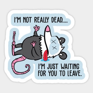 Dead Possum Sticker